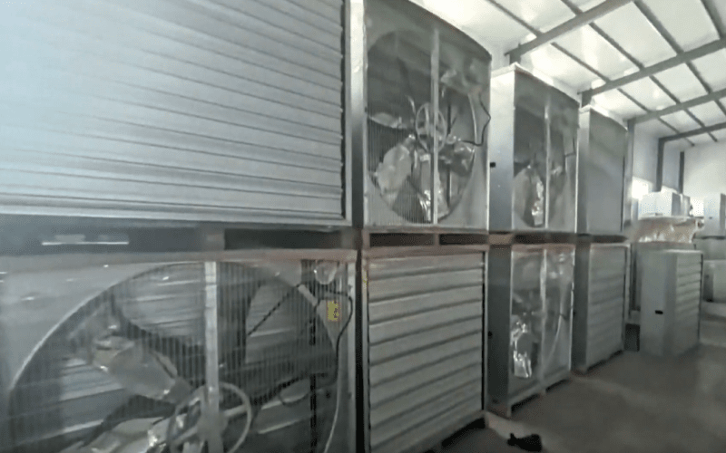 1380 Galvanized Sheet iumenta Negative Pressura Fan